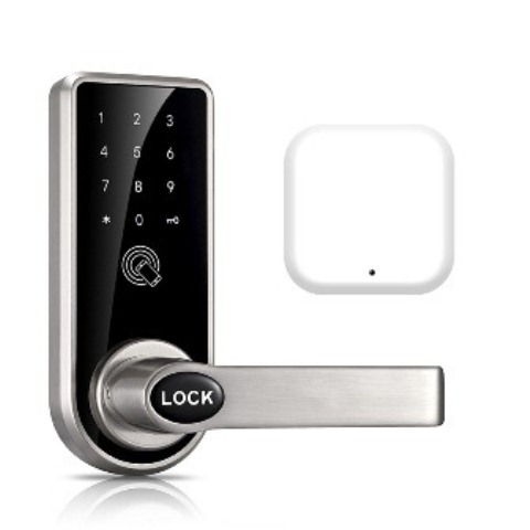 Digital_Door_Lock-Eseye_Smart_Home_Anti_Theft.jpg